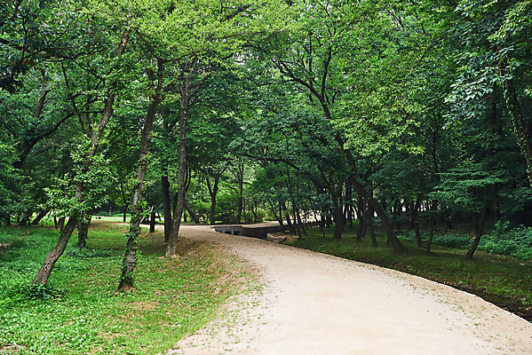 포토 JPG 주간 나무 한국전통 여행 유적지 풍경 사람없음 야외 여름 관광지 산책로 숲 파주 파주삼릉 국내포토 자연요소 식물 전통 계절 길 고건축 한국 세계문화유산 경기도 왕릉 파일형식