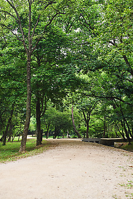 포토 JPG 주간 나무 한국전통 여행 유적지 풍경 사람없음 야외 여름 관광지 산책로 숲 파주 파주삼릉 국내포토 자연요소 식물 전통 계절 길 고건축 한국 세계문화유산 경기도 왕릉 파일형식