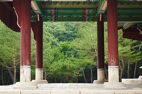 포토 JPG 주간 한국전통 여행 유적지 단청문양 풍경 사람없음 야외 여름 관광지 세계문화유산 문화재 역사 한국사 조선시대 영릉 정자각 조선왕릉 파주 파주삼릉 효순소황후 효장세자 국내포토 자연요소 전통 문양 계절 고건축 한국 단청 경기도 왕릉 파일형식 왕후 추존왕