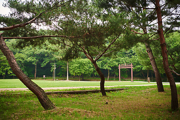 포토 JPG 주간 나무 한국전통 여행 유적지 풍경 사람없음 야외 여름 관광지 세계문화유산 문화재 역사 한국사 조선시대 영릉 조선왕릉 홍살문 파주 파주삼릉 효순소황후 효장세자 국내포토 자연요소 식물 전통 계절 고건축 한국 전통문 경기도 왕릉 파일형식 왕후 추존왕