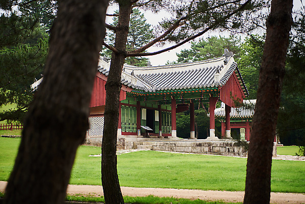 포토 JPG 주간 나무 한국전통 여행 유적지 풍경 사람없음 야외 여름 관광지 세계문화유산 문화재 역사 한국사 조선시대 영릉 정자각 조선왕릉 파주 파주삼릉 효순소황후 효장세자 국내포토 자연요소 식물 전통 계절 고건축 한국 경기도 왕릉 파일형식 왕후 추존왕