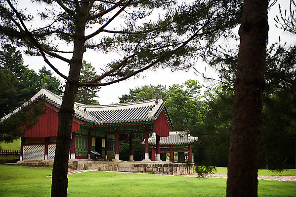 포토 JPG 주간 나무 한국전통 여행 유적지 풍경 사람없음 야외 여름 관광지 세계문화유산 문화재 역사 한국사 조선시대 영릉 정자각 조선왕릉 파주 파주삼릉 효순소황후 효장세자 국내포토 자연요소 식물 전통 계절 고건축 한국 경기도 왕릉 파일형식 왕후 추존왕