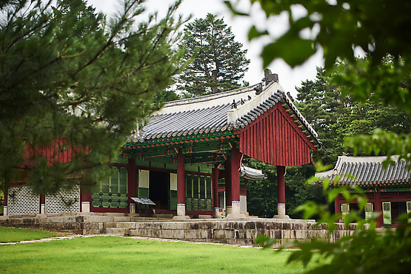 포토 JPG 주간 나무 한국전통 여행 유적지 나뭇잎 풍경 사람없음 야외 아웃포커스 여름 관광지 세계문화유산 문화재 역사 한국사 조선시대 영릉 정자각 조선왕릉 파주 파주삼릉 효순소황후 효장세자 국내포토 자연요소 식물 전통 계절 고건축 잎 한국 촬영기법 경기도 왕릉 파일형식 왕후 추존왕