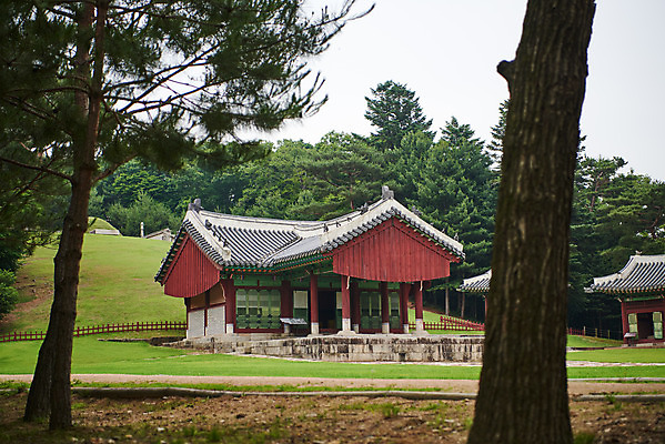 포토 JPG 주간 나무 한국전통 여행 유적지 풍경 사람없음 야외 여름 관광지 세계문화유산 문화재 역사 한국사 조선시대 영릉 정자각 조선왕릉 파주 파주삼릉 효순소황후 효장세자 국내포토 자연요소 식물 전통 계절 고건축 한국 경기도 왕릉 파일형식 왕후 추존왕