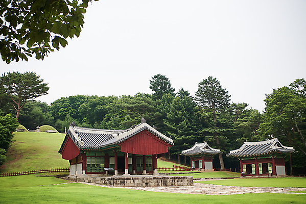 포토 JPG 주간 나무 한국전통 여행 유적지 풍경 사람없음 야외 여름 관광지 세계문화유산 문화재 역사 한국사 조선시대 비각 영릉 정자각 조선왕릉 파주 파주삼릉 효순소황후 효장세자 국내포토 자연요소 식물 전통 계절 고건축 한국 경기도 왕릉 파일형식 왕후 추존왕