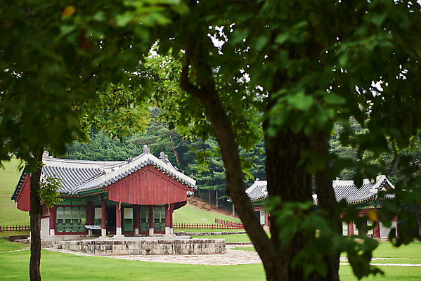 포토 JPG 주간 나무 한국전통 여행 유적지 풍경 사람없음 야외 아웃포커스 여름 관광지 세계문화유산 문화재 역사 한국사 조선시대 영릉 정자각 조선왕릉 파주 파주삼릉 효순소황후 효장세자 국내포토 자연요소 식물 전통 계절 고건축 한국 촬영기법 경기도 왕릉 파일형식 왕후 추존왕