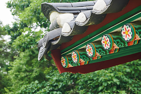 포토 JPG 주간 나무 한국전통 로우앵글 여행 유적지 단청문양 기와 풍경 사람없음 야외 여름 관광지 세계문화유산 문화재 역사 한국사 조선시대 기와지붕 조선왕릉 파주 파주삼릉 성종 공혜왕후 순릉 국내포토 자연요소 식물 전통 문양 계절 뷰포인트 고건축 지붕 한국 왕 단청 경기도 왕릉 파일형식 왕후