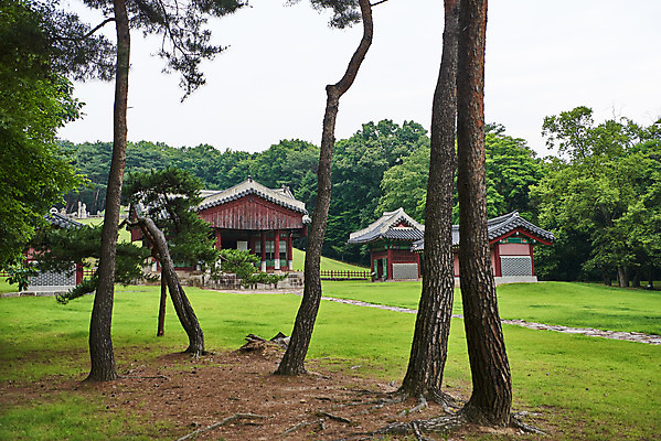 포토 JPG 주간 나무 한국전통 여행 유적지 풍경 사람없음 야외 여름 관광지 세계문화유산 문화재 역사 한국사 조선시대 비각 정자각 조선왕릉 파주 수라간 수복방 파주삼릉 성종 공혜왕후 순릉 국내포토 자연요소 식물 전통 계절 고건축 한국 왕 경기도 왕릉 파일형식 왕후