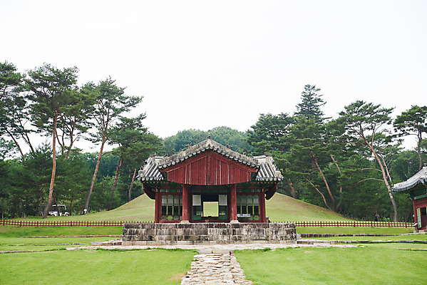 포토 JPG 주간 나무 한국전통 여행 유적지 풍경 사람없음 야외 여름 관광지 세계문화유산 문화재 역사 한국사 조선시대 어로 정자각 조선왕릉 파주 파주삼릉 예종 장순왕후 공릉 신로 국내포토 자연요소 식물 전통 계절 고건축 한국 왕 경기도 왕릉 파일형식 왕후 향어로