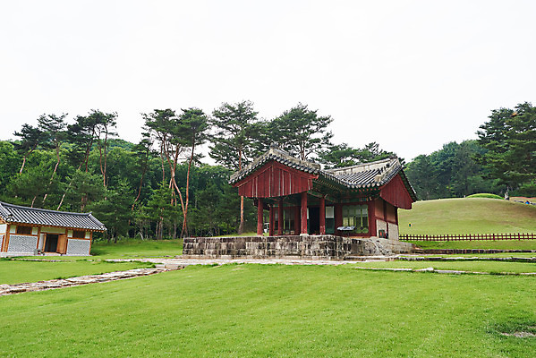 포토 JPG 주간 나무 한국전통 여행 유적지 풍경 사람없음 야외 여름 관광지 세계문화유산 문화재 역사 한국사 조선시대 어로 정자각 조선왕릉 파주 파주삼릉 예종 장순왕후 공릉 신로 국내포토 자연요소 식물 전통 계절 고건축 한국 왕 경기도 왕릉 파일형식 왕후 향어로