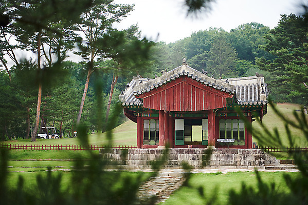 포토 JPG 주간 나무 한국전통 여행 유적지 풍경 사람없음 야외 아웃포커스 여름 관광지 세계문화유산 문화재 역사 한국사 조선시대 정자각 조선왕릉 파주 파주삼릉 예종 장순왕후 공릉 국내포토 자연요소 식물 전통 계절 고건축 한국 촬영기법 왕 경기도 왕릉 파일형식 왕후