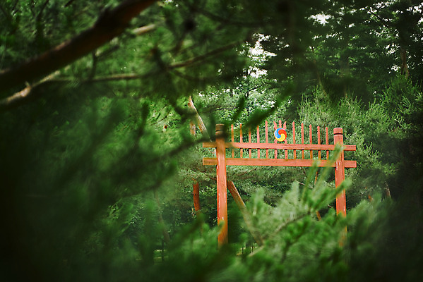 포토 JPG 주간 나무 한국전통 여행 유적지 풍경 사람없음 야외 아웃포커스 여름 관광지 세계문화유산 문화재 역사 한국사 조선시대 조선왕릉 홍살문 파주 파주삼릉 예종 장순왕후 공릉 국내포토 자연요소 식물 전통 계절 고건축 한국 촬영기법 왕 전통문 경기도 왕릉 파일형식 왕후