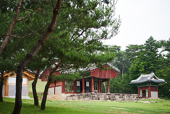 포토 JPG 주간 나무 한국전통 여행 유적지 풍경 사람없음 야외 여름 관광지 세계문화유산 문화재 역사 한국사 조선시대 비각 정자각 조선왕릉 파주 파주삼릉 예종 장순왕후 공릉 국내포토 자연요소 식물 전통 계절 고건축 한국 왕 경기도 왕릉 파일형식 왕후
