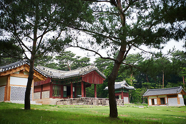 포토 JPG 주간 나무 한국전통 여행 유적지 풍경 사람없음 야외 여름 관광지 세계문화유산 문화재 역사 한국사 조선시대 비각 정자각 조선왕릉 파주 파주삼릉 예종 장순왕후 공릉 국내포토 자연요소 식물 전통 계절 고건축 한국 왕 경기도 왕릉 파일형식 왕후