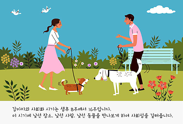 구름 공원 여자 교육 남자 꽃 반려견 두마리 벤치 일러스트 조류 사람 두명 반려동물 귀여움 풀 개 강아지 연습 교정 목줄 주인 반려 펫팸족 국내일러스트 AI파일 자연요소 식물 동물 공공시설 컨셉 2 의자 포유류 신조어 파일형식 벡터 반려용품