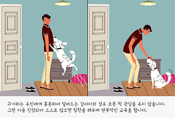 교육 남자 반려견 신발 일러스트 조명 방석 사람 두명 반려동물 문 귀여움 개 강아지 무관심 연습 현관문 서랍장 교정 주인 반려 칭찬 남자만 펫팸족 국내일러스트 AI파일 동물 감정 가구 컨셉 포유류 신조어 파일형식 벡터