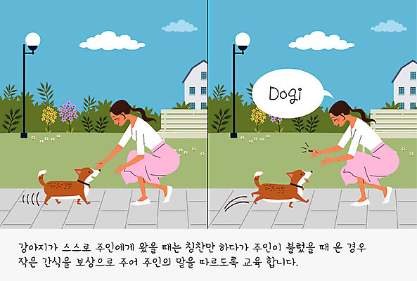 식물 구름 공원 여자 교육 꽃 반려견 가로등 벤치 일러스트 주택 사람 두명 반려동물 귀여움 산책 풀 개 강아지 연습 교정 주인 반려 애견간식 여자만 펫팸족 국내일러스트 AI파일 자연요소 동물 공공시설 컨셉 의자 포유류 휴식 건물 신조어 파일형식 벡터