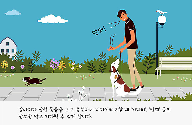 식물 구름 공원 교육 남자 꽃 반려견 가로등 벤치 일러스트 조류 주택 한명 사람 반려동물 귀여움 고양이 산책 개 강아지 연습 교정 목줄 주인 반려 남자한명만 펫팸족 국내일러스트 AI파일 자연요소 동물 1 공공시설 컨셉 의자 포유류 휴식 건물 신조어 남자만 파일형식 벡터 반려용품