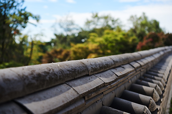 포토 JPG 주간 구름 한국전통 하늘 기와 풍경 근접촬영 사람없음 야외 아웃포커스 세계문화유산 문화재 가을 성벽 남한산성 수어장대 국내포토 자연요소 전통 계절 뷰포인트 한국 촬영기법 궁전 경기도 파일형식