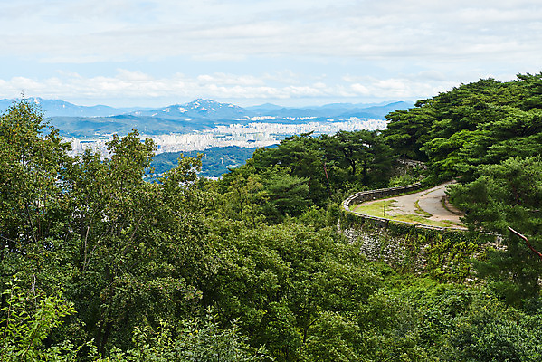 포토 JPG 주간 나무 구름 한국전통 하늘 풍경 사람없음 야외 세계문화유산 문화재 가을 성벽 남한산성 수어장대 국내포토 자연요소 식물 전통 계절 한국 궁전 경기도 파일형식