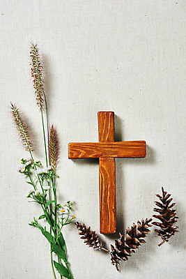 포토 JPG 스튜디오촬영 꽃 기독교 십자가 실내 사람없음 하이앵글 교회 가을 오브젝트 흰배경 솔방울 감성 추수감사절 강아지풀 플랫레이 국내포토 식물 계절 종교 뷰포인트 백그라운드 컨셉 종교건축 내부 건물 흰색 플랫 한해살이풀 파일형식