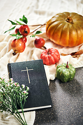 포토 식물 계절 기독교 종교 컨셉 채소 과일 종교용품 종교건축 실내 내부 건물 파일형식 석류 꽃 호박 JPG 교회 오브젝트 감성 가을 십자가 추수감사절 사람없음 스튜디오촬영 성경 국내포토