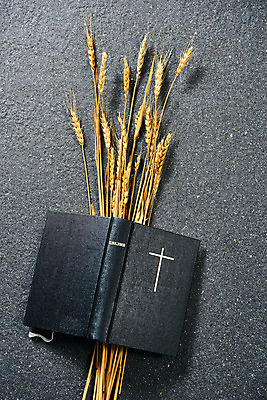 포토 JPG 스튜디오촬영 기독교 십자가 회색배경 실내 사람없음 하이앵글 교회 성경 가을 오브젝트 보리 감성 추수감사절 맥추감사절 플랫레이 국내포토 계절 종교 뷰포인트 백그라운드 컨셉 종교용품 종교건축 곡류 내부 건물 회색 플랫 파일형식