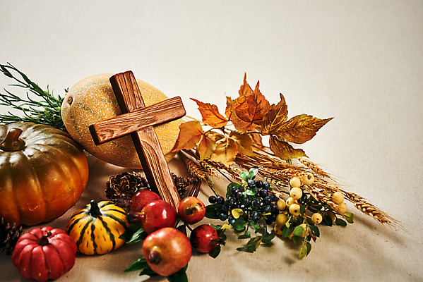 포토 JPG 스튜디오촬영 열매 기독교 십자가 단풍 낙엽 호박 실내 사람없음 교회 가을 오브젝트 보리 감성 추수감사절 국내포토 식물 계절 종교 컨셉 잎 채소 종교건축 곡류 내부 건물 파일형식