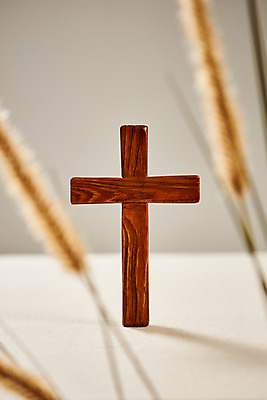 포토 JPG 스튜디오촬영 기독교 십자가 실내 사람없음 아웃포커스 교회 가을 오브젝트 흰배경 감성 추수감사절 강아지풀 국내포토 식물 계절 종교 백그라운드 컨셉 종교건축 촬영기법 내부 건물 흰색 한해살이풀 파일형식