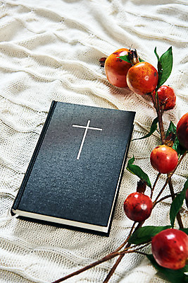 포토 식물 계절 기독교 종교 백그라운드 컨셉 과일 종교용품 종교건축 실내 내부 건물 흰색 직물 파일형식 JPG 교회 오브젝트 감성 가을 십자가 추수감사절 사람없음 스튜디오촬영 성경 흰배경 천 열매 석류 국내포토