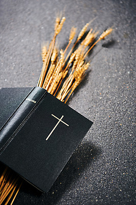 포토 JPG 스튜디오촬영 기독교 십자가 회색배경 실내 사람없음 하이앵글 교회 성경 가을 오브젝트 보리 감성 추수감사절 맥추감사절 플랫레이 국내포토 계절 종교 뷰포인트 백그라운드 컨셉 종교용품 종교건축 곡류 내부 건물 회색 플랫 파일형식