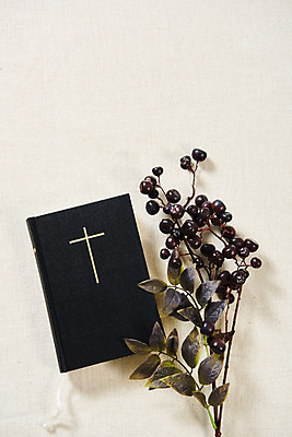 포토 JPG 스튜디오촬영 열매 기독교 십자가 잎 실내 사람없음 하이앵글 교회 성경 가을 오브젝트 흰배경 감성 추수감사절 플랫레이 국내포토 식물 계절 종교 뷰포인트 백그라운드 컨셉 종교용품 종교건축 내부 건물 흰색 플랫 파일형식