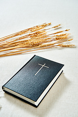 포토 계절 기독교 종교 백그라운드 컨셉 종교용품 종교건축 곡류 실내 내부 건물 흰색 파일형식 보리 JPG 교회 오브젝트 감성 가을 십자가 추수감사절 사람없음 스튜디오촬영 성경 흰배경 국내포토 맥추감사절