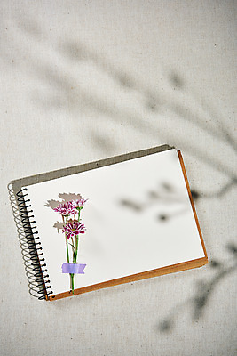 포토 JPG 스튜디오촬영 꽃 실내 그림자 사람없음 하이앵글 공책 가을 오브젝트 감성 플랫레이 국내포토 식물 계절 뷰포인트 컨셉 문구용품 내부 플랫 파일형식