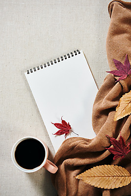 포토 JPG 스튜디오촬영 커피 단풍 낙엽 실내 사람없음 하이앵글 공책 가을 담요 오브젝트 감성 플랫레이 국내포토 계절 음료 뷰포인트 컨셉 잎 문구용품 내부 플랫 파일형식
