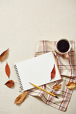 포토 JPG 스튜디오촬영 커피 단풍 낙엽 실내 사람없음 하이앵글 연필 공책 가을 천 오브젝트 감성 플랫레이 국내포토 계절 음료 뷰포인트 컨셉 잎 문구용품 학용품 내부 필기구 직물 플랫 파일형식