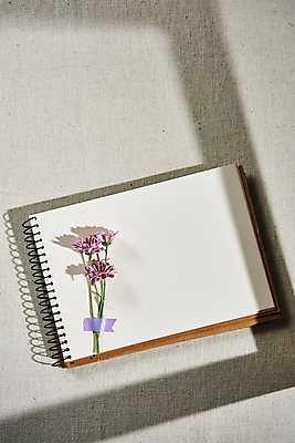 포토 JPG 스튜디오촬영 꽃 실내 그림자 사람없음 공책 가을 오브젝트 감성 국내포토 식물 계절 컨셉 문구용품 내부 파일형식