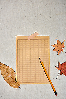 포토 JPG 스튜디오촬영 단풍 낙엽 실내 사람없음 하이앵글 연필 가을 오브젝트 감성 원고지 플랫레이 국내포토 계절 뷰포인트 컨셉 잎 학용품 내부 필기구 플랫 파일형식