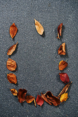 포토 JPG 스튜디오촬영 단풍 낙엽 실내 사람없음 하이앵글 가을 오브젝트 감성 플랫레이 국내포토 계절 뷰포인트 컨셉 잎 내부 플랫 파일형식