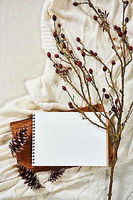 포토 JPG 스튜디오촬영 열매 꽃 실내 사람없음 하이앵글 공책 가을 담요 천 오브젝트 솔방울 감성 플랫레이 국내포토 식물 계절 뷰포인트 컨셉 문구용품 내부 직물 플랫 파일형식