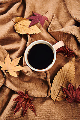 포토 JPG 스튜디오촬영 커피 단풍 낙엽 실내 사람없음 하이앵글 가을 담요 오브젝트 감성 플랫레이 국내포토 계절 음료 뷰포인트 컨셉 잎 내부 플랫 파일형식