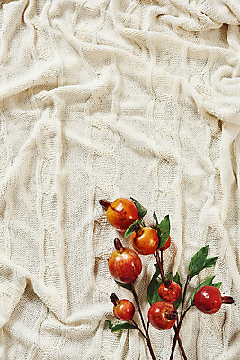 포토 JPG 스튜디오촬영 열매 실내 사람없음 하이앵글 가을 천 오브젝트 감성 석류 플랫레이 국내포토 식물 계절 뷰포인트 컨셉 과일 내부 직물 플랫 파일형식