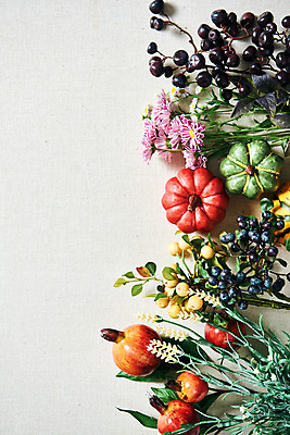 포토 JPG 스튜디오촬영 열매 꽃 호박 실내 사람없음 하이앵글 가을 오브젝트 감성 플랫레이 국내포토 식물 계절 뷰포인트 컨셉 채소 내부 플랫 파일형식