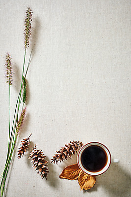 포토 JPG 스튜디오촬영 커피 단풍 낙엽 실내 사람없음 하이앵글 가을 오브젝트 솔방울 감성 강아지풀 플랫레이 국내포토 식물 계절 음료 뷰포인트 컨셉 잎 내부 플랫 한해살이풀 파일형식