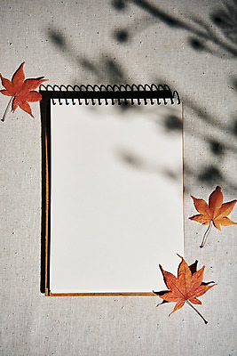 포토 JPG 스튜디오촬영 단풍 낙엽 실내 그림자 사람없음 하이앵글 공책 가을 오브젝트 감성 플랫레이 국내포토 계절 뷰포인트 컨셉 잎 문구용품 내부 플랫 파일형식