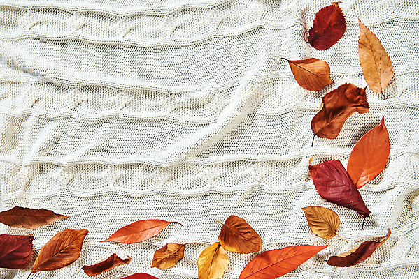 포토 JPG 스튜디오촬영 단풍 낙엽 실내 사람없음 하이앵글 가을 담요 천 오브젝트 감성 플랫레이 국내포토 계절 뷰포인트 컨셉 잎 내부 직물 플랫 파일형식