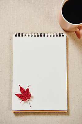 포토 JPG 스튜디오촬영 커피 단풍 낙엽 실내 사람없음 하이앵글 공책 가을 오브젝트 감성 플랫레이 국내포토 계절 음료 뷰포인트 컨셉 잎 문구용품 내부 플랫 파일형식