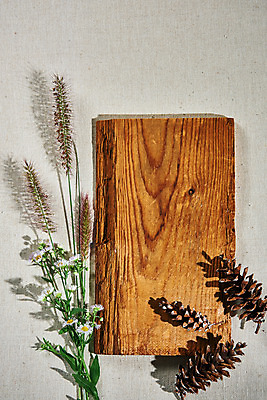 포토 JPG 스튜디오촬영 꽃 실내 사람없음 하이앵글 가을 오브젝트 솔방울 감성 강아지풀 나무도마 플랫레이 국내포토 식물 계절 뷰포인트 컨셉 도마 내부 목재 플랫 한해살이풀 파일형식