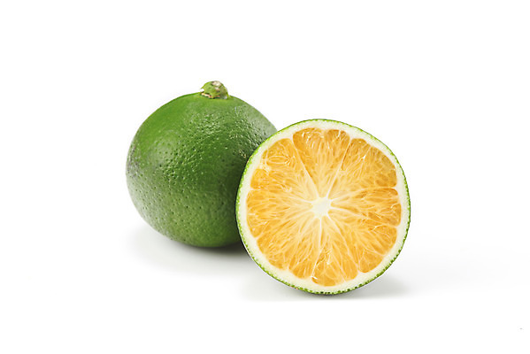 포토 JPG 스튜디오촬영 과일 자연 단면 실내 건강 누끼 사람없음 농작물 두개 신선 오브젝트 흰배경 유기농 비타민 신맛 청귤 감기예방 국내포토 웰빙 백그라운드 2 농업 내부 흰색 맛 생태계 예방 영양소 파일형식