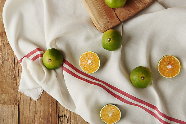 포토 JPG 스튜디오촬영 과일 자연 단면 실내 건강 누끼 사람없음 농작물 하이앵글 여러개 신선 천 오브젝트 유기농 비타민 신맛 플랫레이 청귤 감기예방 나무배경 국내포토 웰빙 뷰포인트 다수 백그라운드 농업 내부 직물 플랫 맛 생태계 예방 영양소 파일형식